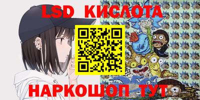 молекула духа Будённовск