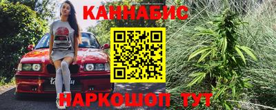 молекула духа Будённовск