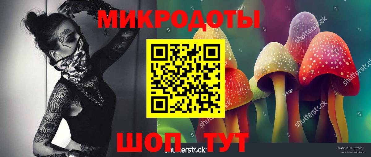 Галлюциногенные грибы Psilocybe  Вход с VPN  Кулебаки  Псилоцибиновые грибы ЛСД 